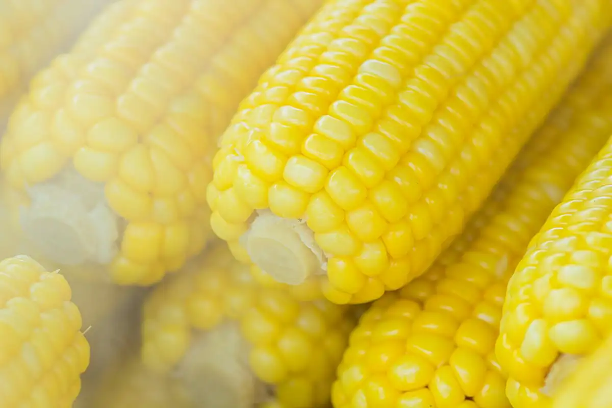 Discover the art of making perfect Slow Cooker Corn on the Cob. Explore tips, nutritional benefits, and serving ideas in our comprehensive guide.